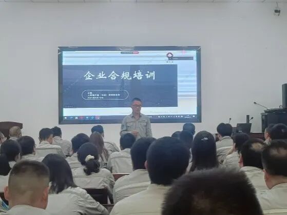 1757928803901377.jpg 2.jpg