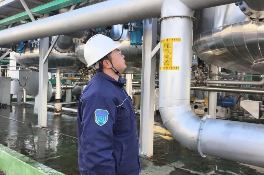 1769070284446123.jpg 5.jpg